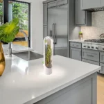 حافظة اعشاب الخضروات موضوعة فوق رخامة مطبخ عصري